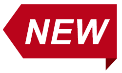 SSC JE CBT-2 Mains Test Series 2025