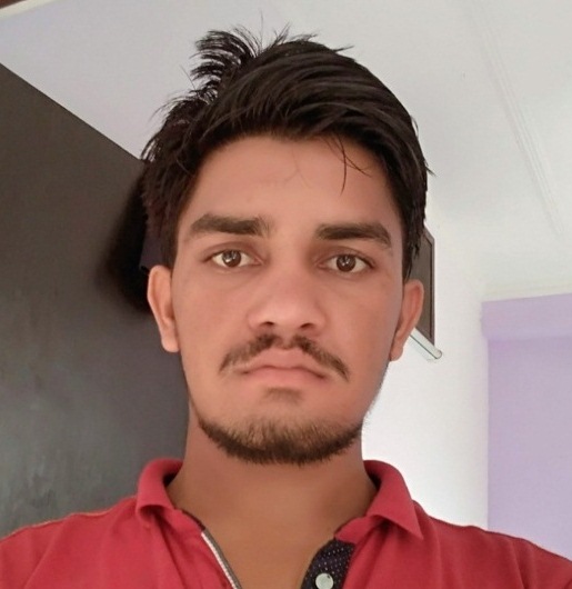 Bijendra kumar meena  